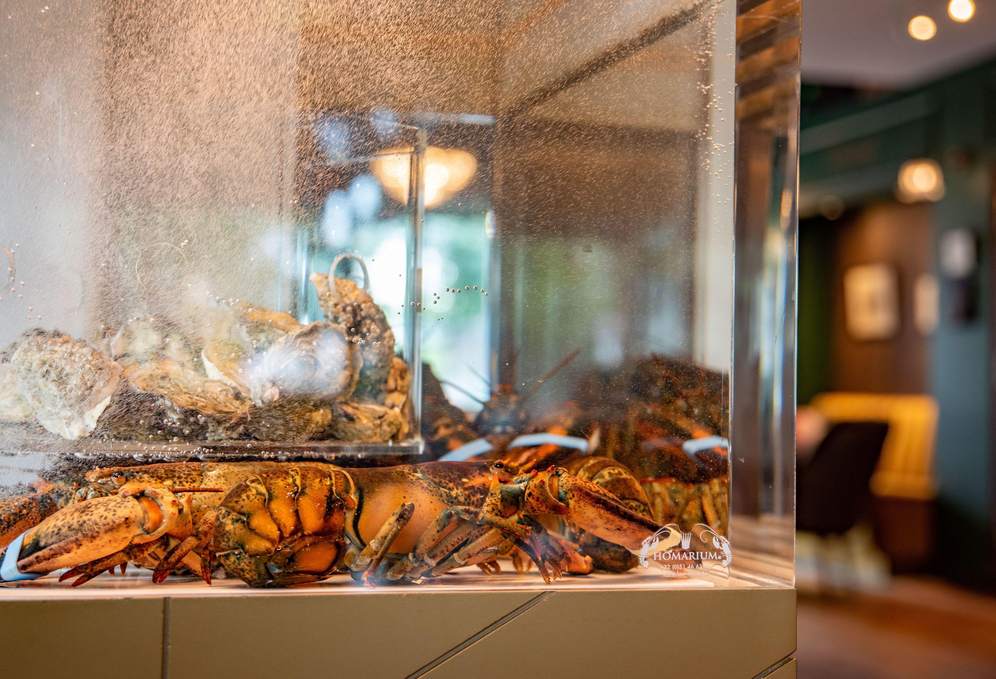 & Savarin - Rijswijk, Hotel